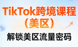 TikTok跨境课程(美区)-瀚宇网创