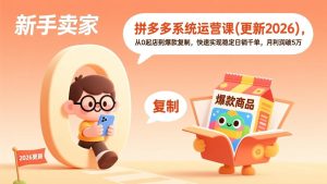 拼多多系统运营课(更新2026-瀚宇网创