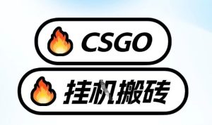 真全网独家CSGO挂G，最新玩法,单日捡漏1K+，不用电脑，不用打游戏【揭秘】-瀚宇网创