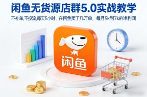 闲鱼无货源店群5.0实战教学，不补单，不投流，每天5小时，在闲鱼卖了几万单，每月5k到7k的净利润-瀚宇网创