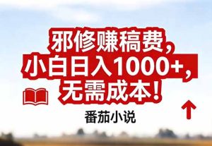 番茄小说赚稿费邪修玩法无需成本，真实日入1000+，超级简单！-瀚宇网创