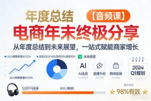 电商年未终极分享，从年度总结到未来展望，一站式赋能商家增长【音频课】-瀚宇网创