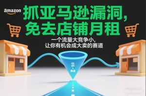 抓亚马逊漏洞，免去店铺月租，一个流量大竞争小，让你有机会成大卖的赛道-瀚宇网创