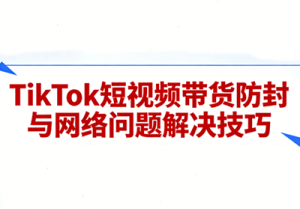 老谭·TikTok短视频带货实拍课程-瀚宇网创