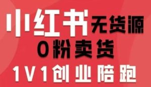 小红书无货源0粉电商课，开店准备、选品策略、笔记撰写、视频剪辑、数据分析、账号打造、资料文档(更新)-瀚宇网创
