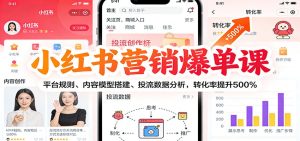 小红书营销爆单课：平台规则、内容模型搭建、投流数据分析，转化率提升500%-瀚宇网创