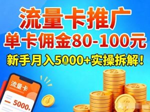 流量卡推广，单卡佣金80-100，新手月入5k+实操拆解！-瀚宇网创