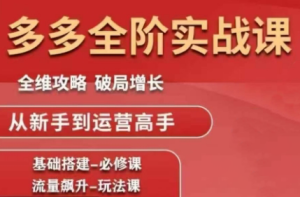 大炮·拼多多全阶实战课程(更新2026)-瀚宇网创