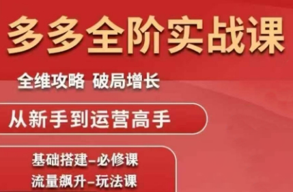 大炮·拼多多全阶实战课程(更新2026)-瀚宇网创