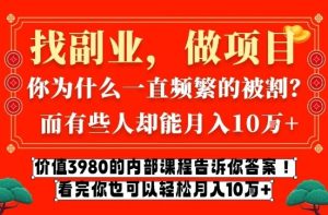 价值3980的网创内部课程，告诉你互联网创业月入10个W的秘密【揭秘】-瀚宇网创
