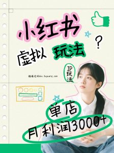 小红书虚拟玩法(铺货流和单品玩法)，单店月利润3000+，IP打法+原创商品(0违规)-瀚宇网创