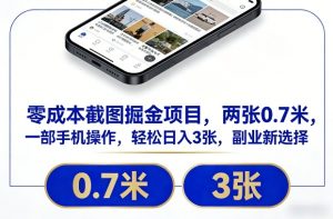 零成本截图掘金项目,两张0.7米,一部手机操作,轻松日入3张,副业新选择【揭秘】-瀚宇网创