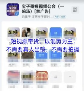 宝子哥头部团队短视频带货，以混剪为主，不需要真人出镜，不需要拍摄【更新12月】-瀚宇网创