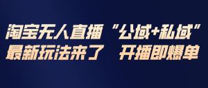 淘宝无人直播最新玩法，包含私域和公域两种玩法-瀚宇网创