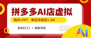 拼多多AI店，简历+PPT，单店月稳定1-2W，告别打工，独家项目！-瀚宇网创
