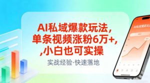 AI私域爆款玩法，单条视频涨粉6W+，小白也可实操-瀚宇网创