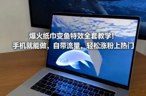 爆火纸巾变鱼特效全套教学！手机就能做，自带流量，轻松涨粉上热门-瀚宇网创