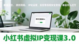小红书虚拟IP变现课3.0，赛道定位、原创流程、IP化运营，实现零违规安全变现，单店月入过万-瀚宇网创