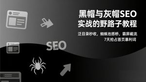黑帽与灰帽SEO实战的野路子教程：泛目录秒收，蜘蛛池搭桥，霸屏截流，7天抢占首页暴利词-瀚宇网创