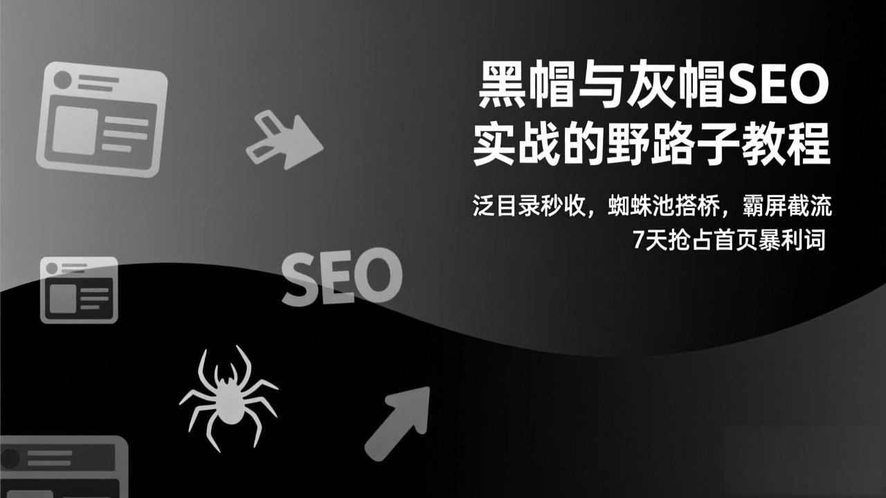 黑帽与灰帽SEO实战的野路子教程：泛目录秒收，蜘蛛池搭桥，霸屏截流，7天抢占首页暴利词-瀚宇网创