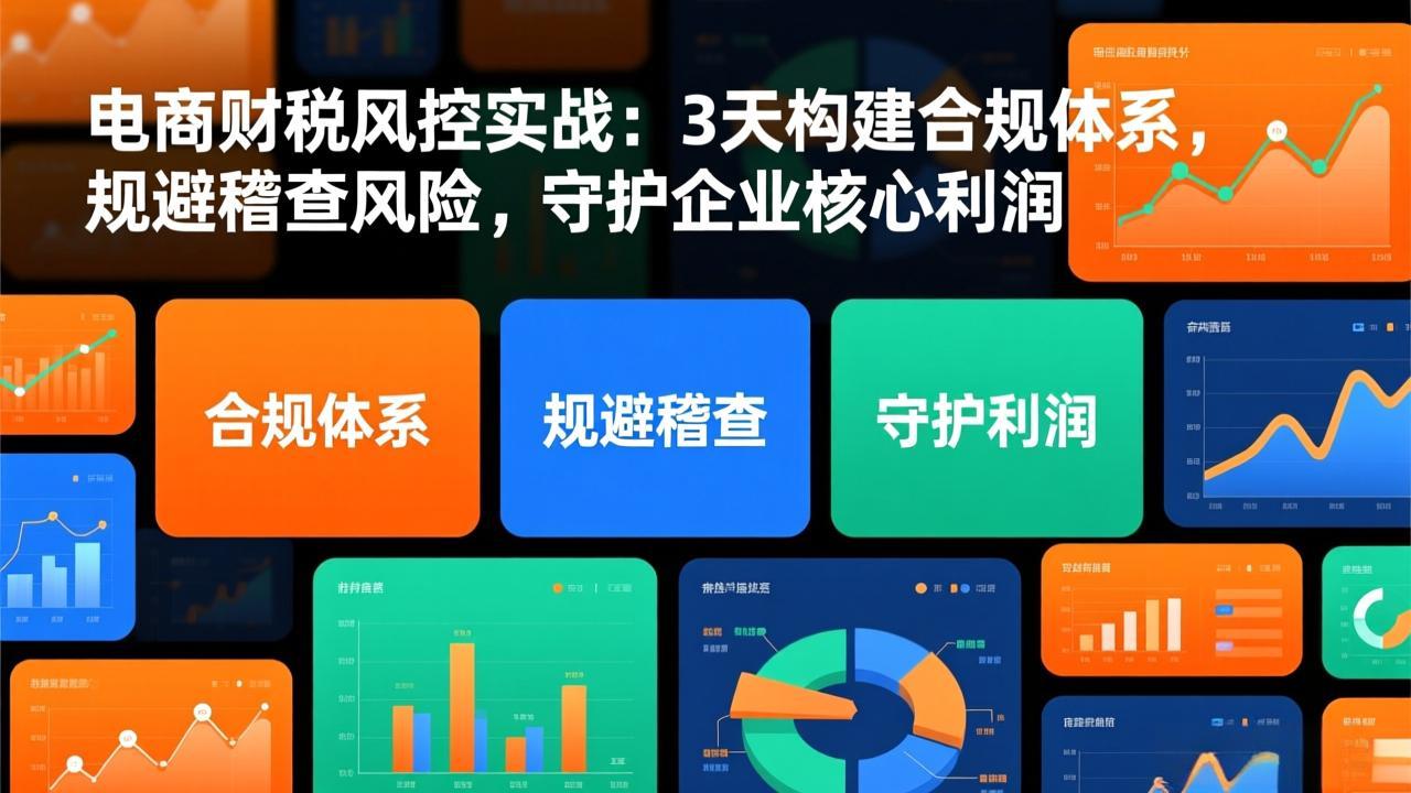 电商财税风控实战：3天构建合规体系，规避稽查风险，守护企业核心利润-瀚宇网创