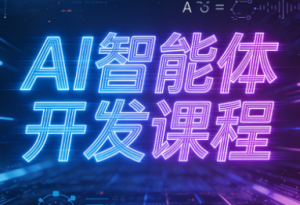 迪哥·2025AI智能体开发课程-瀚宇网创