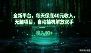 最新看广平台，每天保底30-4米，无脑项目，自动挂G解放双手【揭秘】-瀚宇网创