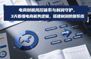 电商财税风控体系与利润守护，3天看懂电商税务逻辑，搭建利润防御系统-瀚宇网创