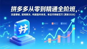 拼多多从零到精通全阶班，流量爆破、疑难解决，构建盈利体系，单店月销破百万(更新2026-瀚宇网创