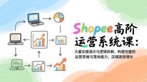 Shopee高阶运营系统课：大量实操演示与逻辑拆解，构建完整的运营思维与落地能力，店铺高效增长-瀚宇网创