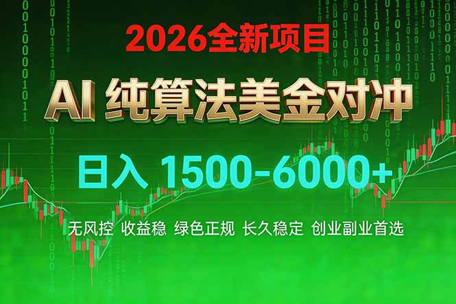 2026 全新美金对冲项目，不套平台赠金，不封号，纯算法对冲，日入 1500-6000+-瀚宇网创