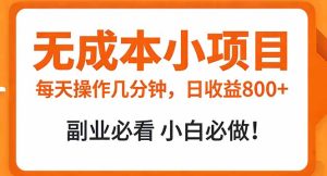 无成本小项目 每天操作几分钟，真实日收益800+ 副业必看 小白必做！-瀚宇网创