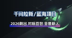 千问拉新项目拆解_阿里狂砸30E，这还不马上入局接富贵-瀚宇网创