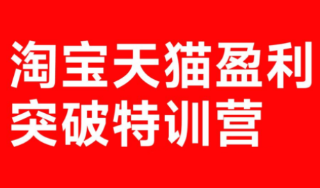 玺承·淘宝天猫盈利突破特训营(25年12月线下课)【音频+字幕】-瀚宇网创