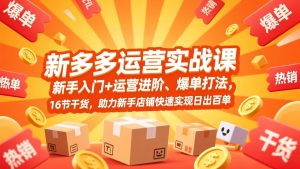 拼多多运营实战课，新手入门+运营进阶、爆单打法，16节干货，助力新手店铺快速实现日出百单-瀚宇网创