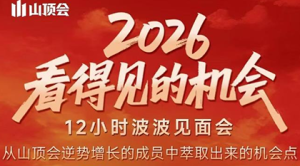 波波·2026看得见的机会12小时波波见面会(东莞线下课2月1日)-瀚宇网创