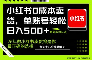 小红书0成本AI卖货，单账号轻松日入500+，完全托管AI，可矩阵放大-瀚宇网创