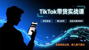 TikTok带货实战课，涵盖账号安全、暴力起号、选品与脚本制作，实现高效出单，周入数千美元-瀚宇网创