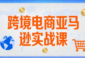 丝丝老师·跨境电商亚马逊实战课(更新2月)-瀚宇网创