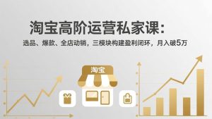 淘宝高阶运营私家课：选品、爆款、全店动销，三模块构建盈利闭环，月入破5万(更新26年2月-瀚宇网创