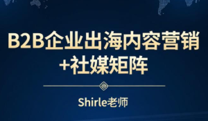 shirle老师·B2B企业出海内容营销+社媒矩阵-瀚宇网创