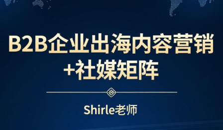 shirle老师·B2B企业出海内容营销+社媒矩阵-瀚宇网创