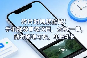 碎片时间就能做！手机视频审核项目，20秒一单，随时随地可做，单日4张+【揭秘】-瀚宇网创