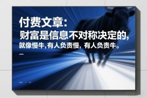 付费文章：财富是信息不对称决定的，就像慢牛，有人负责慢，有人负责牛-瀚宇网创