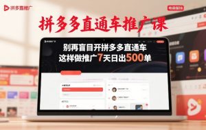 拼多多直通车推广课，别再盲目开拼多多直通车，这样做推广7天日出500单-瀚宇网创