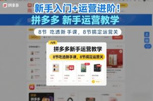 新手入门+运营进阶！拼多多新手运营教学，8节吃透新手课，8节搞定运营关-瀚宇网创