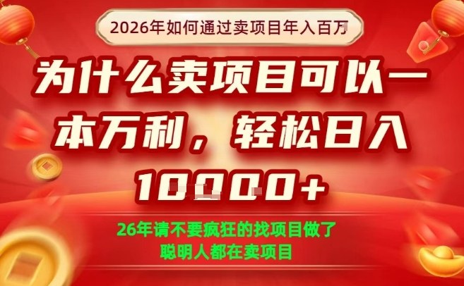 一单净利润1K+，26年想年入100个W，死磕卖项目就够了【揭秘】-瀚宇网创