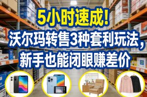 5小时速成！沃尔玛转售3种套利玩法，新手也能闭眼賺差价-瀚宇网创