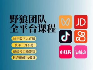 野狼团队2026新版全平台短视频带货教学，打开流量突破口，开始Ai带货(更新26年3月)-瀚宇网创