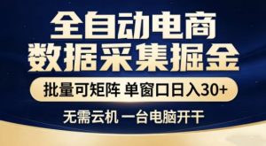 独家电商数据全自动采集项目，批量可矩阵，单窗口轻松日入3张+【揭秘】-瀚宇网创